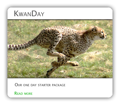 KwanDay package