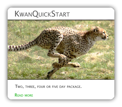 KwanQuickStart package
