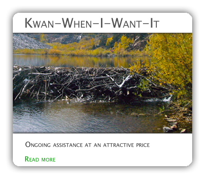 Kwan-When-I-Want-It package