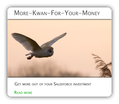 More-Kwan-For-Your-Money package